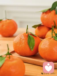 别强迫自己快速释怀，伤口要慢慢愈合，慢慢来，才是最温柔的治愈配图