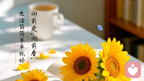 他发来“我累了”，我回了一个字…