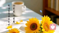 他发来“我累了”，我回了一个字…