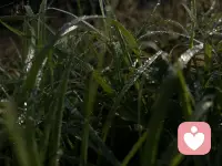 你打开心门，我静静倾听！