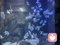 不要误以为：情绪稳定 = 没有情绪。

其实你以为的“没情绪”，大多只有两种结果：
要么是身体替你扛下所有病，
要么是情绪在某个瞬间彻底崩盘。

情绪并不是敌人，
不被看见、不被流动、一直被压抑的情绪，才是。

要允许自己生气，允许自己难过，允许情绪好好来、好好走。
​