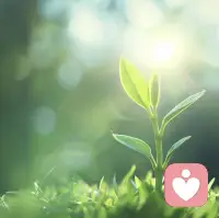 这个世界就是这样，我们会认识形形色色的人，会遇到无法解释的恶意，会感到失望…

但是只要过去了，你就会发现，
其实这些都是在提醒你，
不要成为那样的人。

经历的意义在于：引导你，而非定义你。

记住：深渊可以凝视，但不要驻足。
​