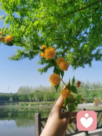 你从来都不是一个人，路边的野花，树上的枝叶，旷野的风，它们都是自由而属于你的