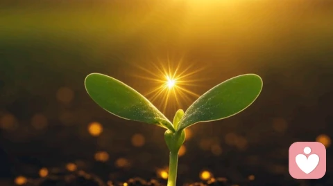 蛰伏是生命的智慧