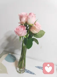 花会绽放花会凋零
漫长亦或短暂，我来过即是精彩
用心经营，平凡的日子也闪闪发着光✨