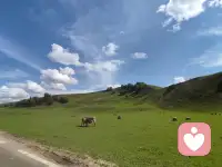 陌生的朋友们啊，一定要记住，开心最重要，百年之后哪管它洪水滔天，祝大家天天开心。