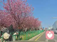 放慢呼吸，数五秒吸气、七秒呼气，重复三次。掌心搓热轻敷双眼，听首轻音乐或看窗外云朵流动。专注当下小事，比如泡茶的水声、书页翻动声，压力会像晨雾自然散开。配图