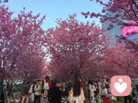 放慢呼吸，数五秒吸气、七秒呼气，重复三次。掌心搓热轻敷双眼，听首轻音乐或看窗外云朵流动。专注当下小事，比如泡茶的水声、书页翻动声，压力会像晨雾自然散开。配图