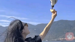 木槿.情感修复与倾听