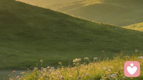 熬过婚姻里的冷暴力，我终于救回了自己