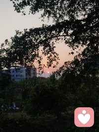 从屋里走向春光，站在风与花开中央，尘埃是奔赴远方，春天为我们定格模样，新的天地，清冽又敞亮，我们是这个春天，全新的光。配图