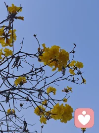 阳光正好，微风不燥！配图