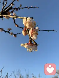 有时候情绪就是这样，不讲道理地涌上来