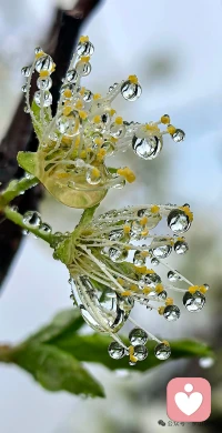 春雨贵如油，润物细无声。配图