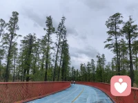 生活就是这样，不断的被击倒又不断的爬起来，继续往前走，欢迎向我倾诉你的内心，让我成为你心灵的寄托配图