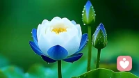 放下焦虑：接纳孩子爱玩天性，温柔监督静待成长