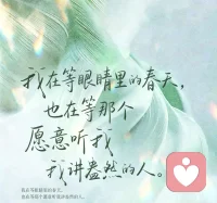 我在等眼睛里的春天，也在等那个愿意听我讲盎然的人。配图
