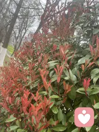 感恩遇见。谢谢你给我一次成长的机会。