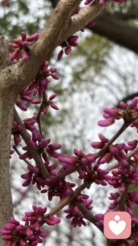 时光深耕，终见花开配图