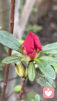 时光深耕，终见花开配图