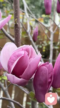 时光深耕，终见花开配图