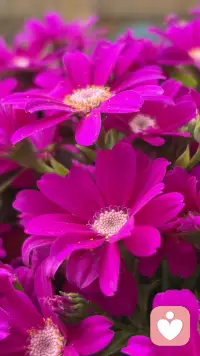 时光深耕，终见花开配图