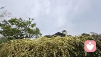 我相信，家不是制造焦虑的茧房，而是照亮彼此的港湾。我想做一件小事:以持续、温和的注视，观察并记录教育。观察孩子，观察父母，观察家庭选择背后的光。我继续探索:如何守护孩子眼里的光，让他成长为内心有爱、脚下有路，对自己人生充满热情与力量的鲜活生命。配图
