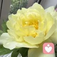 真正的教育和咨询，不是灌输知识，而是协助另一个生命构建属于他自己的精神世界。配图