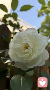 宽恕的最终目的，从来不是让世界变得“无罪”，而是让你获得自由。配图