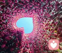 越想压抑记忆，记忆反扑得越猛烈（反弹效应）配图