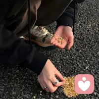 世间有两样东西不可深探：
一是岁月，
二是人心。配图