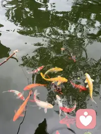 工作留痕：
最怕的不是你不会干活，而是干了没痕迹。口头沟通就当真，做完事就删记录、发完信息就不存档、文件改完不留版本……结果，一旦出事，大家只会相互扯皮，你连证明自己清白的机会都没有。工作留痕，不是为了算计谁，而是为了出事了，白纸黑字比嘴巴管用。领导的口头指令，及时用文字回复确认；同事之间的工作对接，全程用工作软件沟通；重要文件及时备份，修改记录逐一留存。职场里，人心复杂，难免会有推诿扯皮的时候，白纸黑字的记录，就是保护自己的最好证据。配图