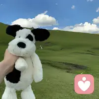你用了半辈子活成别人期待的样子，后半生唯一的任务，就是把那个被“流放”的自己接回家。配图