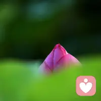 谢谢你们的故事，你们那些充满能量、自信、毅力、勤奋、智慧的形象，深深鼓舞了我，当下的迷茫、困难，我坚信都只是暂时的，先试试停下来一会儿，转一面再看看，情况似乎会大不同。配图