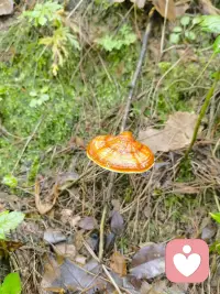 你知道却做不到的事情，是身体在替当年的自己说话！配图