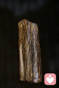 修一颗慈悲心，也许还不够吧？有智慧的慈悲，似乎更好应景……