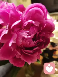 人生每个阶段的顺遂和安稳，本质上都是自我投资的正向回馈。