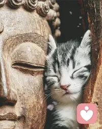 妈妈看到的是女儿的问题，差一点没有赶上公交车，需要改用打车方式通勤，实际上是主动勤工俭学的女儿又战高温开始了新的一天的工作的坚持（妈妈原以为她坚持不过一周）～