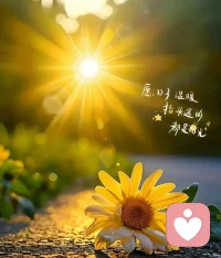  早安呀，愿你今天少点疲惫，多点开心，事事顺心。配图