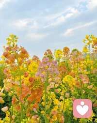 嘴借你吐槽，耳朵借你发泄，我负责认真听，绝不插嘴抬杠。