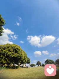 你就该像天气一样明媚