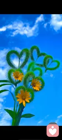 周末愉快，期待倾听你的心声……配图