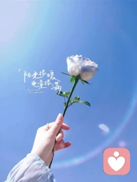 安静的夜，适合放空，
适合自愈，也适合悄悄温柔，
你遇到的任何问题都可以来找我倾诉……配图