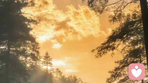 高知婚内女性情绪内耗，为什么越优秀，越内耗？