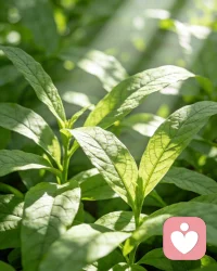 如果你们白天是夫妻，晚上是邻居
如果你正感受到苦累，
如果你感觉到无助，孤独
如果你感觉到或者没什么意思

那你一定要进我主页，
那你有五分钟的一个
全身心疗愈短视频
很多都说五分钟下来，
心情一下好多了，
不那么飘了，不那么累了配图