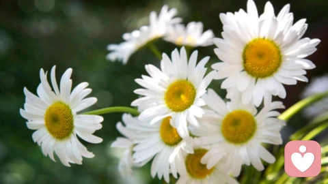 高知女性孤独、内耗：别硬撑了，你真的能从情绪泥沼中走出来〈共计四篇，本文为篇三〉