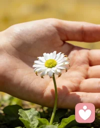 如果你心里有块石头压着，受不了，
一定要把它搬出来，扔掉。
 
上一周，我线下工作室来了一位39岁的女性高管。
第一眼见到她，面色蜡黄，眼神无光。
 
经过近四个小时的交流才知道，
她心里压着两个秘密，一压就是二十年。
 
这二十年来，每天都像一块巨石压在心头，
长期失眠，觉也睡不安稳。
 
因为是朋友介绍，她对我格外信任，
在这四个小时里，把两个秘密从头到尾都说了出来。
 
走的时候，能清晰看到她脸上的释然与轻松。
 
刚刚她发来微信说，
从回去的当晚开始，每天都能很快入睡。
早上起来精神特别好，同事都夸她气色佳、人也精神了。
 
看到这条消息时，我深有感慨，
也真切感受到了这份职业的价值与意义。
 
所以也想告诉所有女性朋友：
如果你心里有想说的话，一定别憋在心里。
 
找一个可靠、懂你、值得信任的人说出来，
你会发现，整个人瞬间就轻松释然了。配图