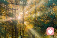 你把所有的不开心都咽下去，告诉自己“忍一忍就过去了”。

可忍到最后，你把自己忍没了。
那个会笑、会闹、会撒娇的你，不知道什么时候不见了。

其实你也不想这样，只是你习惯了懂事，却忘了心疼自己。

抱抱每一个弄丢自己的你：
不是你不配，是你太久没被好好对待了。

发个表情就行。

专业陪伴｜陪你，在温暖、舒适中自愈，活成想要的模样。配图