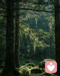 刚结束第二次下单的朋友，
语音接通后，
她的第一句就是非常兴奋的告诉我:
老师，我那天结束以后很快就睡着了，睡得好香，
而且这几天都睡得很香。
好久没有这样睡个安稳觉了。

听到她说这话的时候，虽然我不惊奇，
我清楚差不多每位顾客都是这样的。

但我还是很欣喜。
因为，这就是这份事业的价值和意义配图