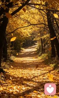 深夜不是煎熬，是可以被倾听、
被拥抱、被治愈的时光。

深夜陪伴，
陪你一起走出孤独与煎熬配图
